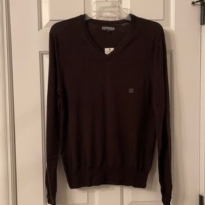 Express V-Neck Sweater